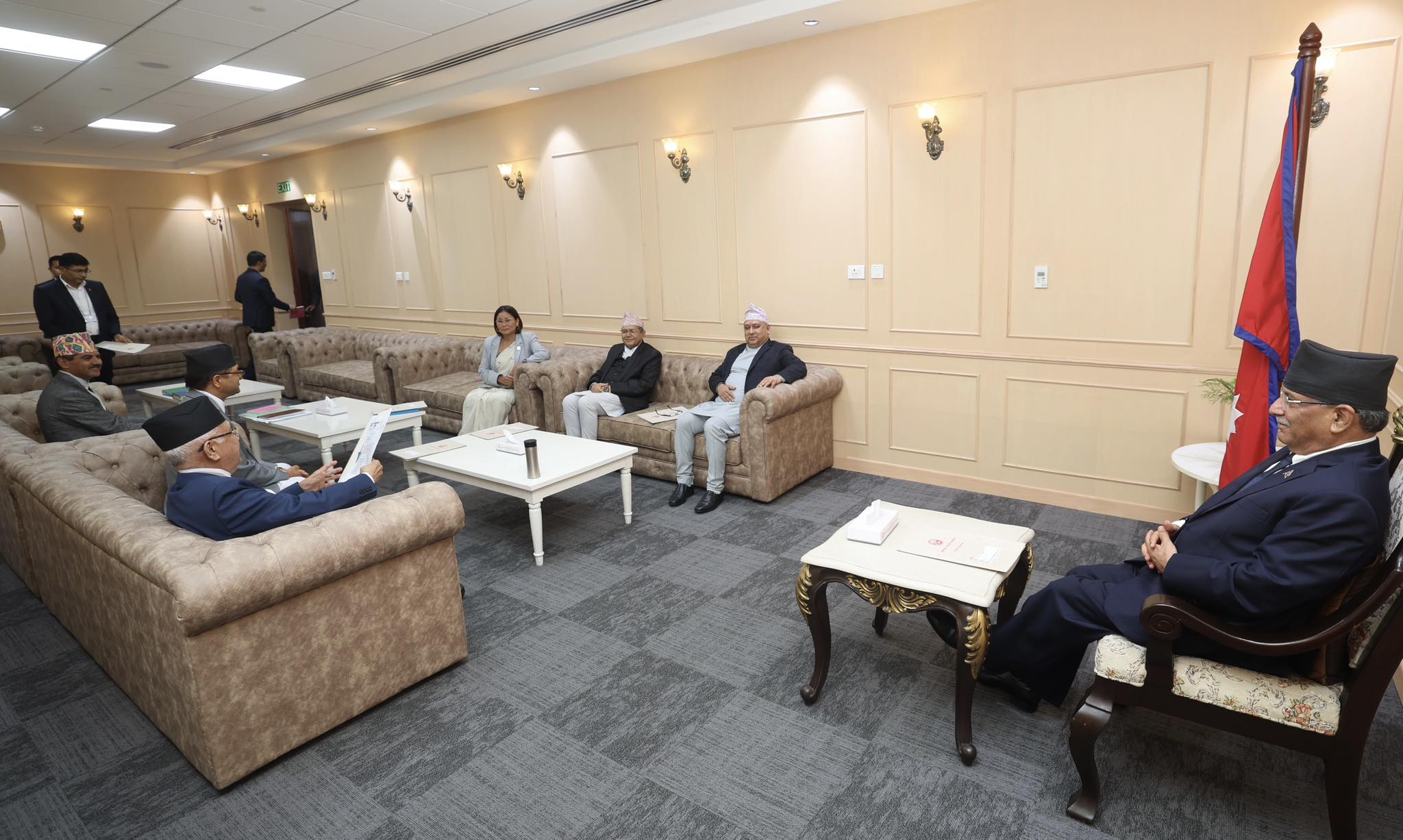 संवैधानिक परिषद्को बैठक जारी