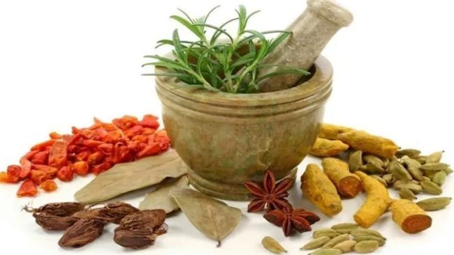 यी जडिबुटीमा मौसमी संक्रमणसँग लड्ने क्षमता हुन्छ