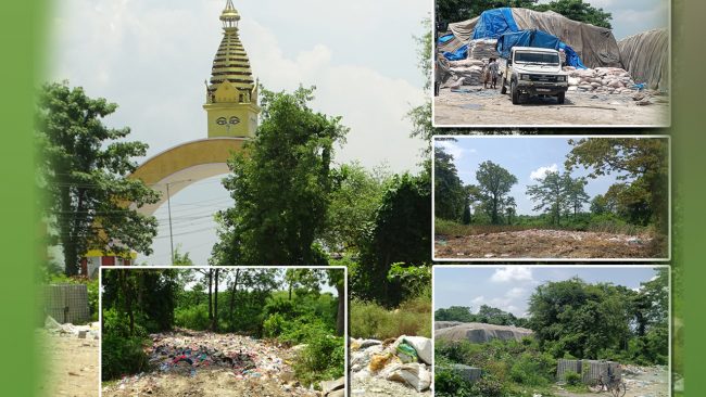 पर्यटकीय गेट नजिकै सिद्धार्थनगरको फोहोर डम्पिङ, नुन गोदामको आडमै फोहोरको डंगुर