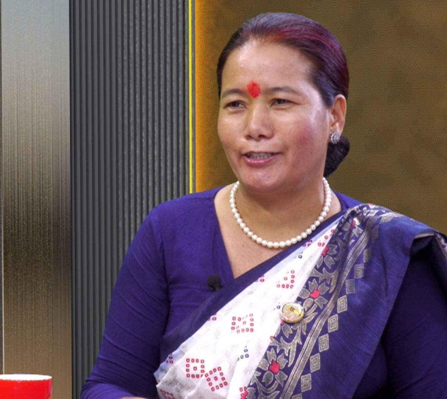 युवालाई स्वदेशमै बस्ने वातावरण बनाउन आवश्यक छ : सचेतक थिङ