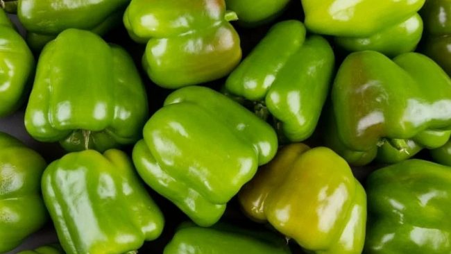 हरियो क्याप्सिकम खानुका यस्ता छन् फाइदाहरु