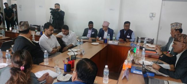 संसदीय समितिद्वारा चिकित्सकमाथि हातपात गर्नेलाई कारबाही गर्न सरकारलाई निर्देशन