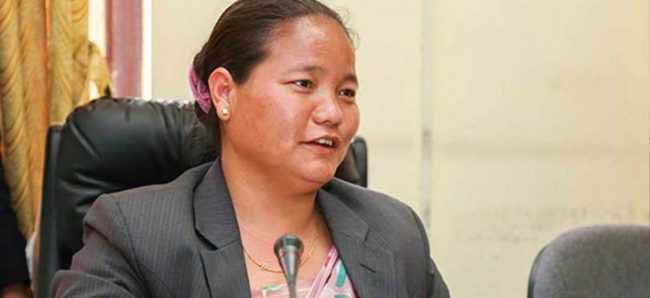 अन्तर्राष्ट्रिय समुदायबाट हस्तक्षेप हुनुहुँदैन तर भइरहेको छ : पूर्वसभामुख घर्ती