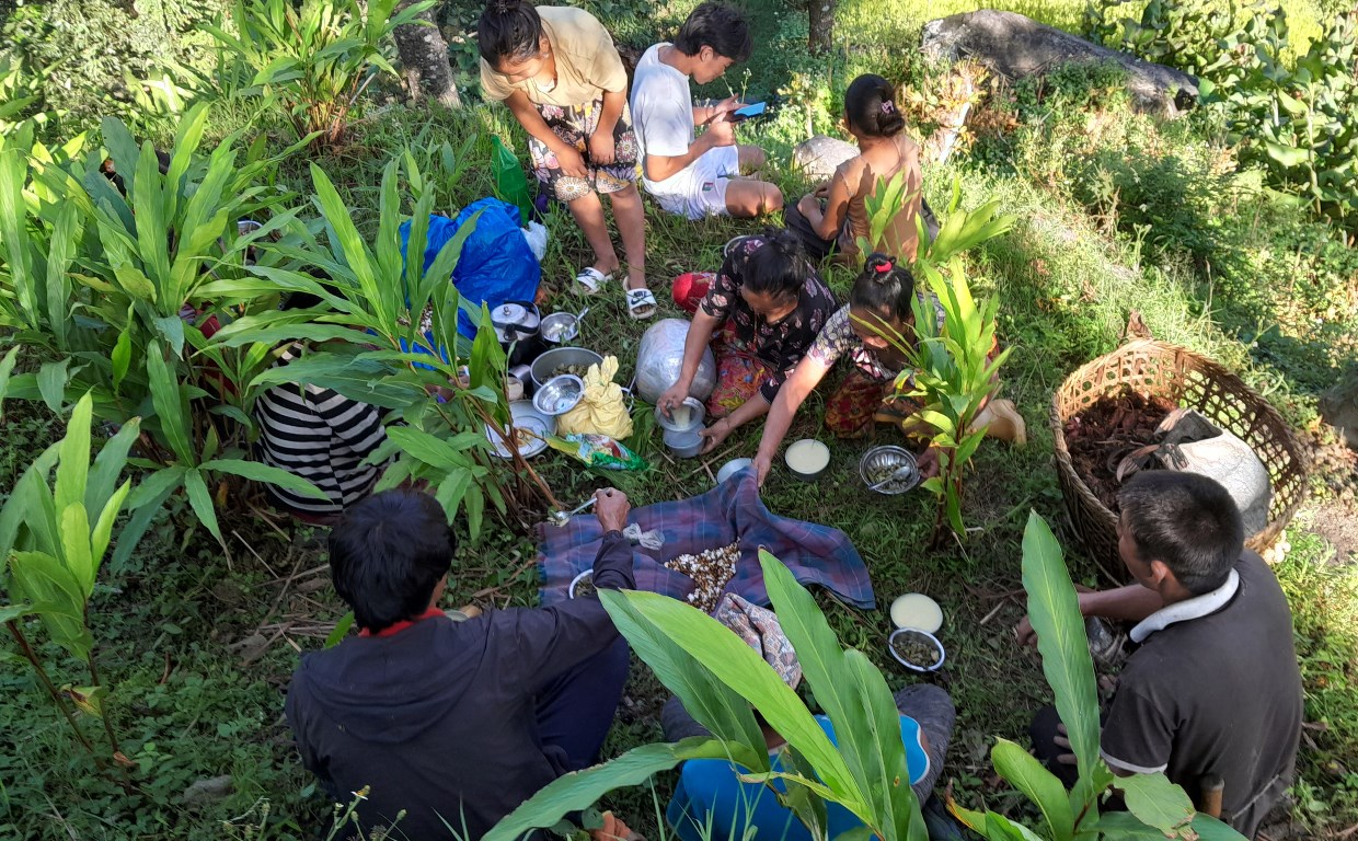 अलैँची टिप्न किसानलाई चटारो, बगानमै मनाए दशैं