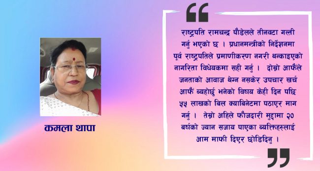 डिल्लीरमण रेग्मीलाई वीपीले दिएको त्यो जवाफ ….