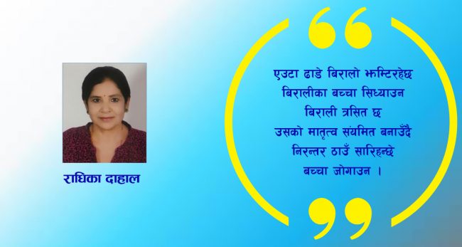 कविता : ढाडे बिरालो