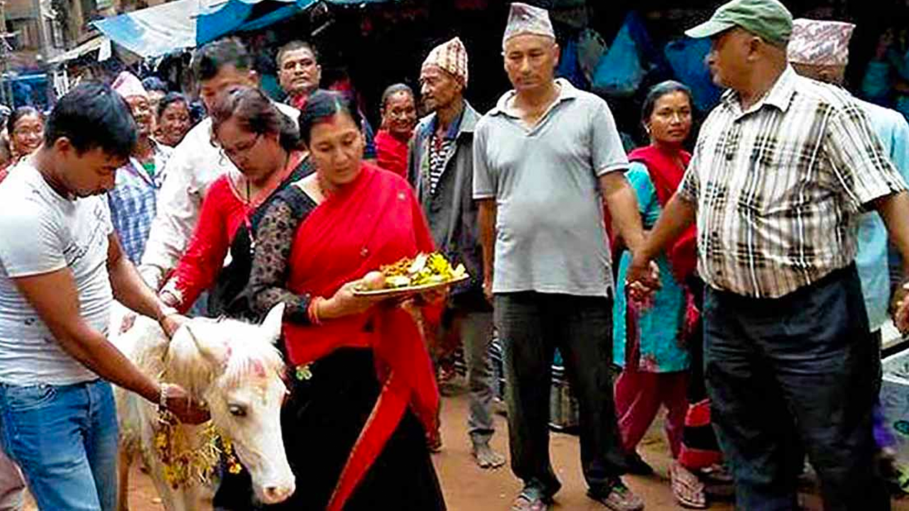 तलेजुको वाहन सेतो घोडा जात्रा सम्पन्न