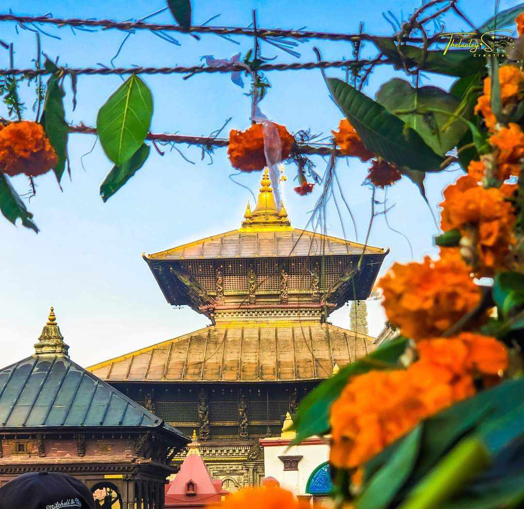 एकादशीमा झकिझकाउ पशुपतिनाथ (फाेटाेफिचर)