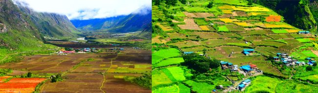 पर्यटन मार्गले बदल्यो उत्तरी गोरखाको स्याला गाउँ