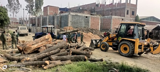 सिरहामा वनकर्मीको सेटिङमा चुरे क्षेत्रमा व्यापक काठ तस्करी, काठ मिल सञ्चालक पक्राउ