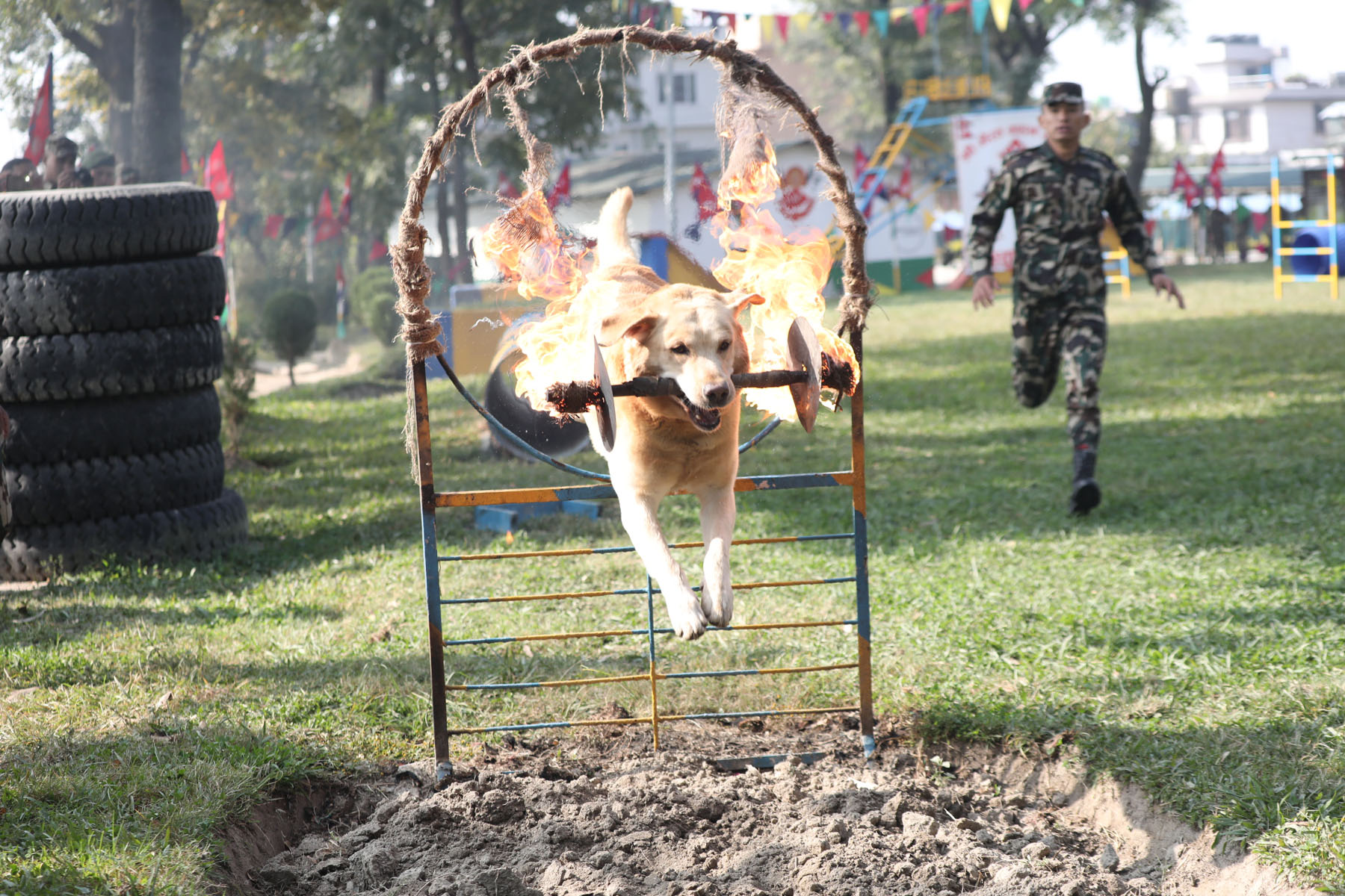 नेपाली सेनाका तालिम प्राप्त कुकुरको तिहार (तस्वीरसहित)