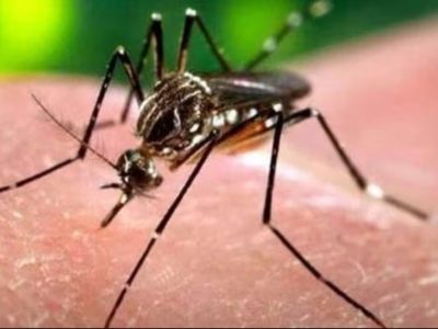 जाडो सुरु भएसँगै गण्डकीमा डेंगु सङ्क्रमण घट्यो
