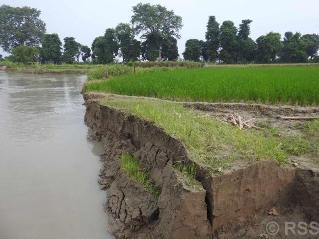 कुतियाकवरका स्थानीयको पीडाः तटबन्ध नबने बस्ती जोगबुढा नदीमा मिसिने
