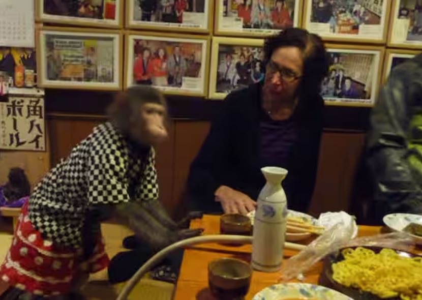 जापानको एक रेष्टुरेन्टको विश्वभरी चर्चा, जहाँ बादँरलाई राखिएको छ वेटर