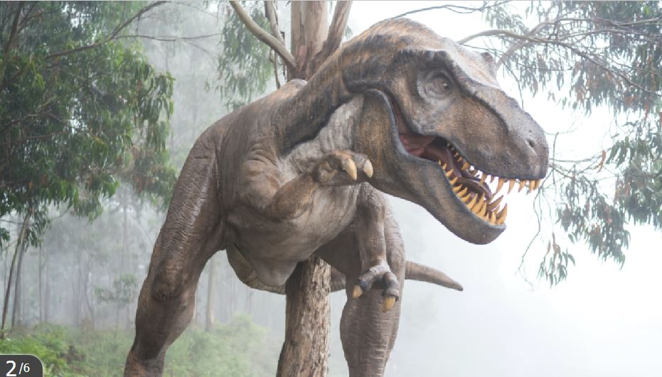 मानिस किन २०० बर्षसम्म बाँच्दैन? बैज्ञानिकहरु भन्छन्-कारण हो डायनोसर