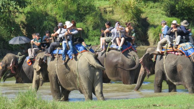 अङ्ग्रेजी नयाँ वर्ष मनाउन सौराहमा पर्यटकको घुइँचो