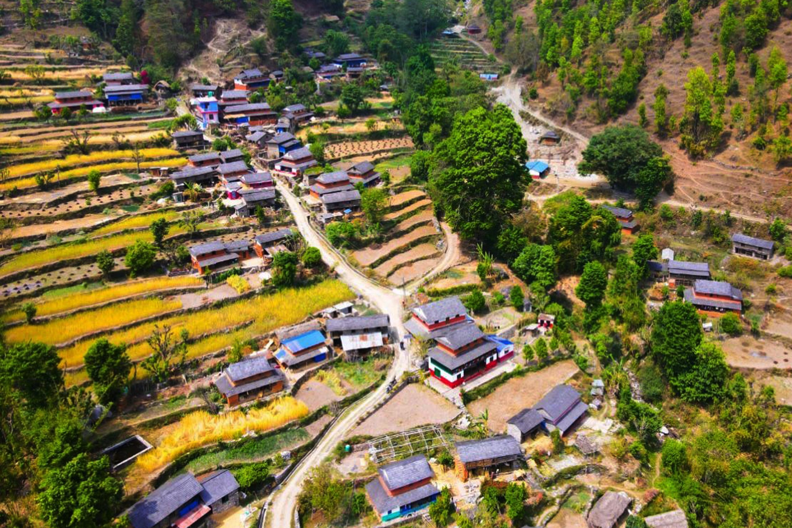 तोरीखोलालाई ‘मौलिक गाउँ’ बनाईँदै