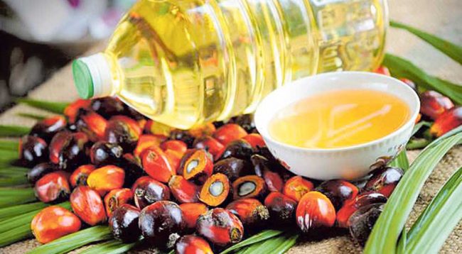 पाम र भटमासको तेलको समग्र व्यापार सुस्तायो