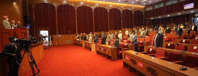 राष्ट्रियसभा बैठक : देशभित्रै रोजगारी सृजना गर्न सरकारको ध्यानाकर्षण