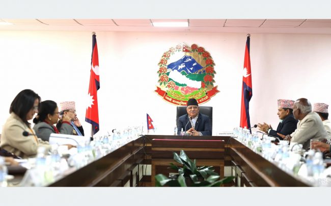 राष्ट्रिय प्रजातन्त्र दिवस तीन दिन भव्यताका साथ मनाउने सरकारको निर्णय