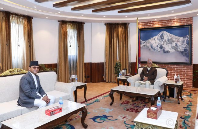 कार्यकाल सकिनै लाग्दा राष्ट्रियसभाका अध्यक्ष तिमिल्सनाले गरे राष्ट्रपतिसँग भेटवार्ता