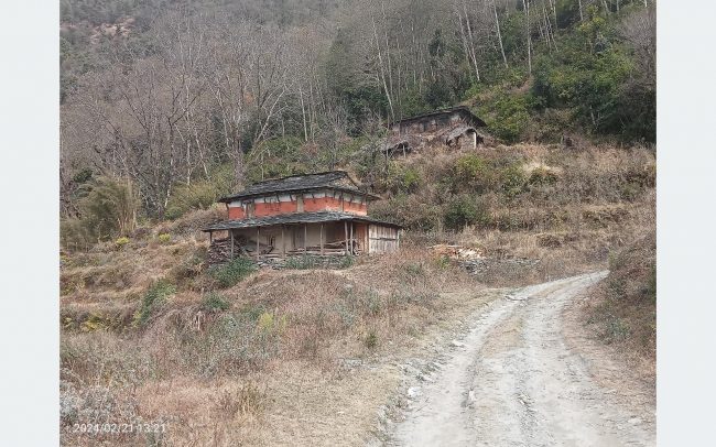 विकास र सुविधाले पनि रोकिएन बसाइँसराइ, रमाइला गाउँहरु उराठ बन्दै