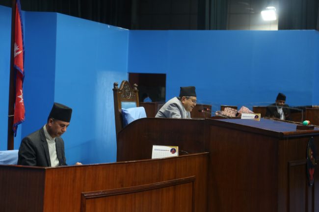 प्रतिपक्षी दलले उठाएका विषयमा  जवाफ दिन सरकारलाई रुलिङ