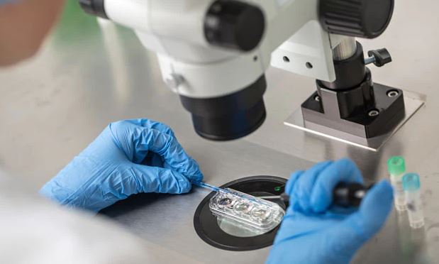 जब ससुराको शुक्रकिटबाट बुहारीले सन्तान जन्माइन्