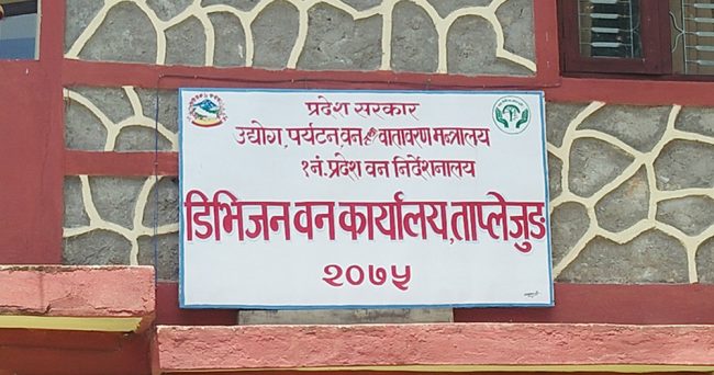 वन कार्यालय परिसरमै गोलिया काठ सड्दै