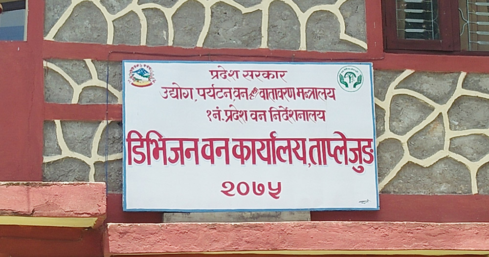 वन कार्यालय परिसरमै गोलिया काठ सड्दै