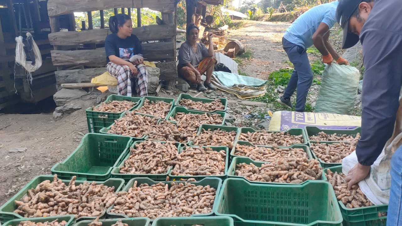 बेसार प्रवर्द्धनमा जुट्यो इलामको रोङ गाउँपालिका