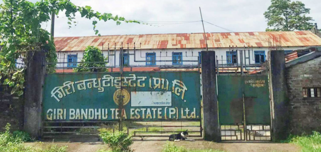 गिरीबन्धु टि स्टेटको जग्गा प्रकरणमा ओली सरकारले गरेको निर्णय सर्वोच्चद्वारा बदर