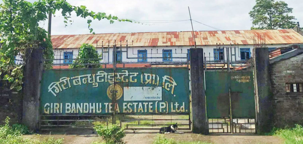 गिरीबन्धु टि स्टेटको जग्गा प्रकरणमा ओली सरकारले गरेको निर्णय सर्वोच्चद्वारा बदर