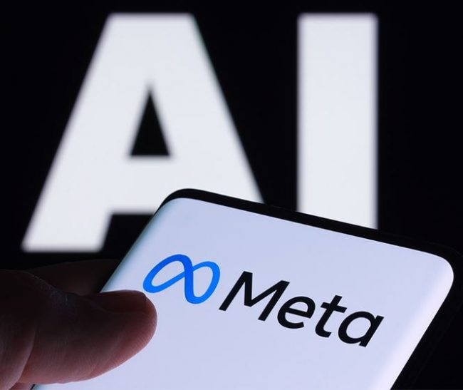 युरोपियली चुनावलाई एआइले प्रभावित बनाउन सक्ने, मेटाले खटायो प्रावधिक टोली