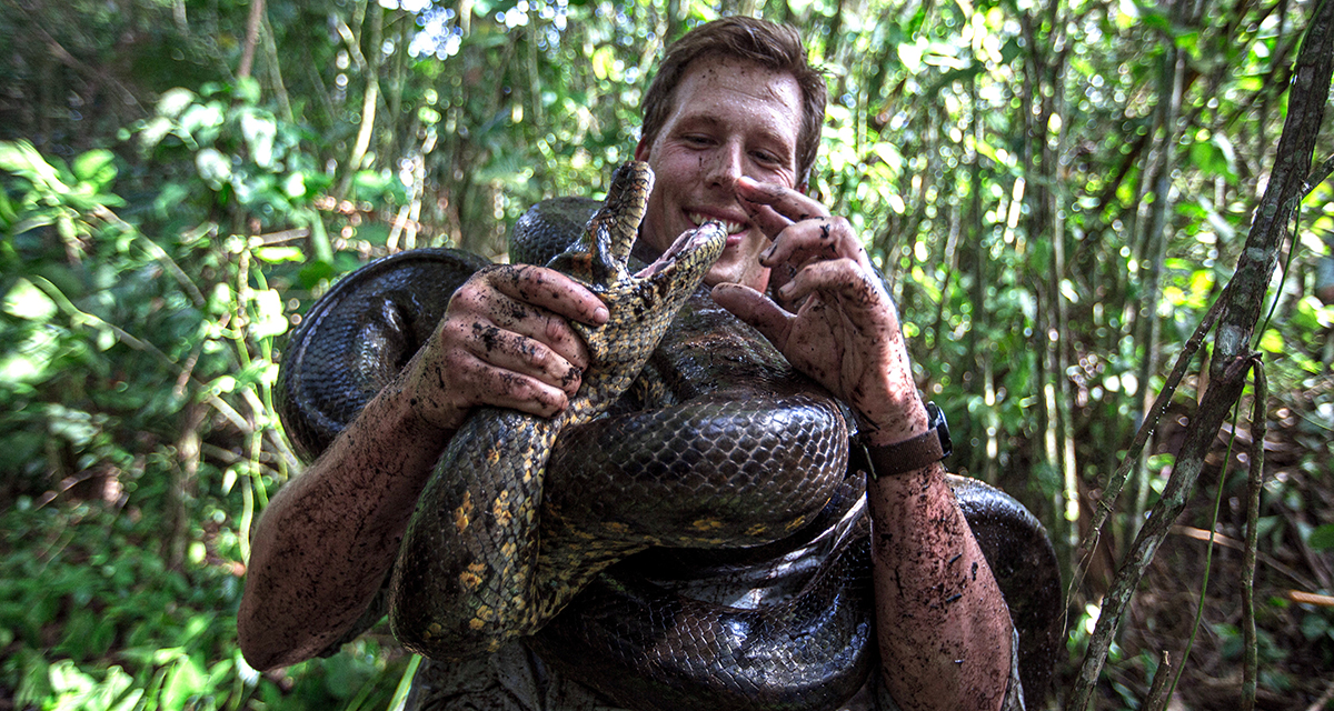 अमेजन रेनफरेस्टमा संसारकै ठूलो सर्प भेटियो