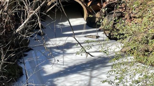 नदीको पानी एक्कासी सेतो भएपछि स्थानीय त्रसित