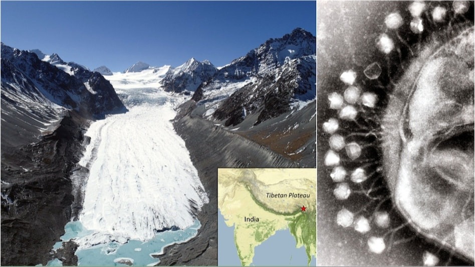 तिब्बतमा हिमनदी पग्लिँदा १५ हजार वर्ष पुराना भाइरस भेटिए, धेरैजसोको कुनै उपचार छैन