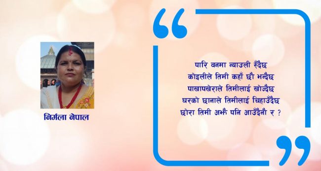 गजल : छोरा तिमी आउँदैनौ र?