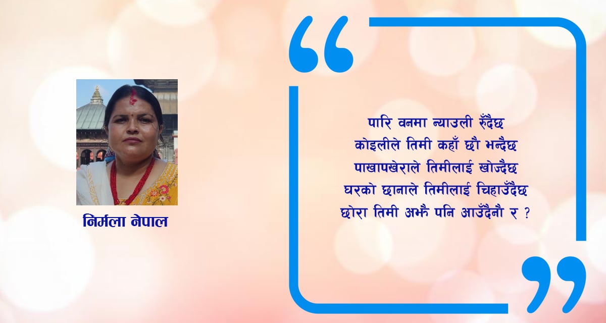 गजल : छोरा तिमी आउँदैनौ र?