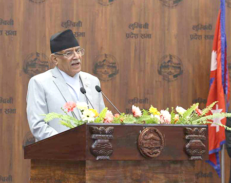 प्रदेश संरचना संघ र स्थानीय तहलाई जोड्ने महत्त्वपूर्ण सेतु : प्रधानमन्त्री