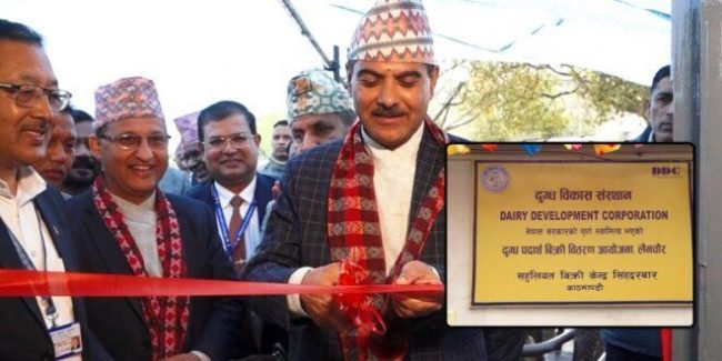 सिंहदरबारभित्र डिडिसीको सहुलियत बिक्री केन्द्र स्थापना