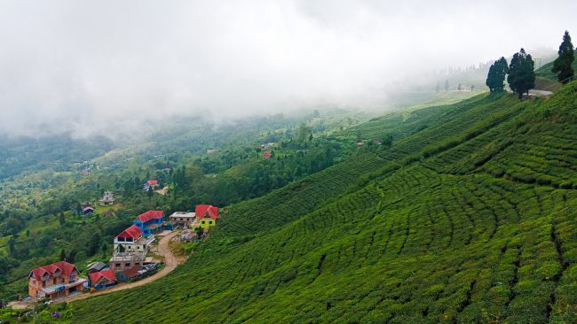 भारतीय पर्यटकको रोजाइमा पूर्वी पहाड