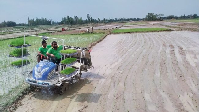 चैते धानखेतीतर्फ झापाका किसानको आकर्षण बढ्दो