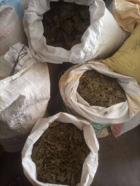 प्रतिबन्धित लागु औषधसहित एक जना प्रहरीको नियन्त्रणमा