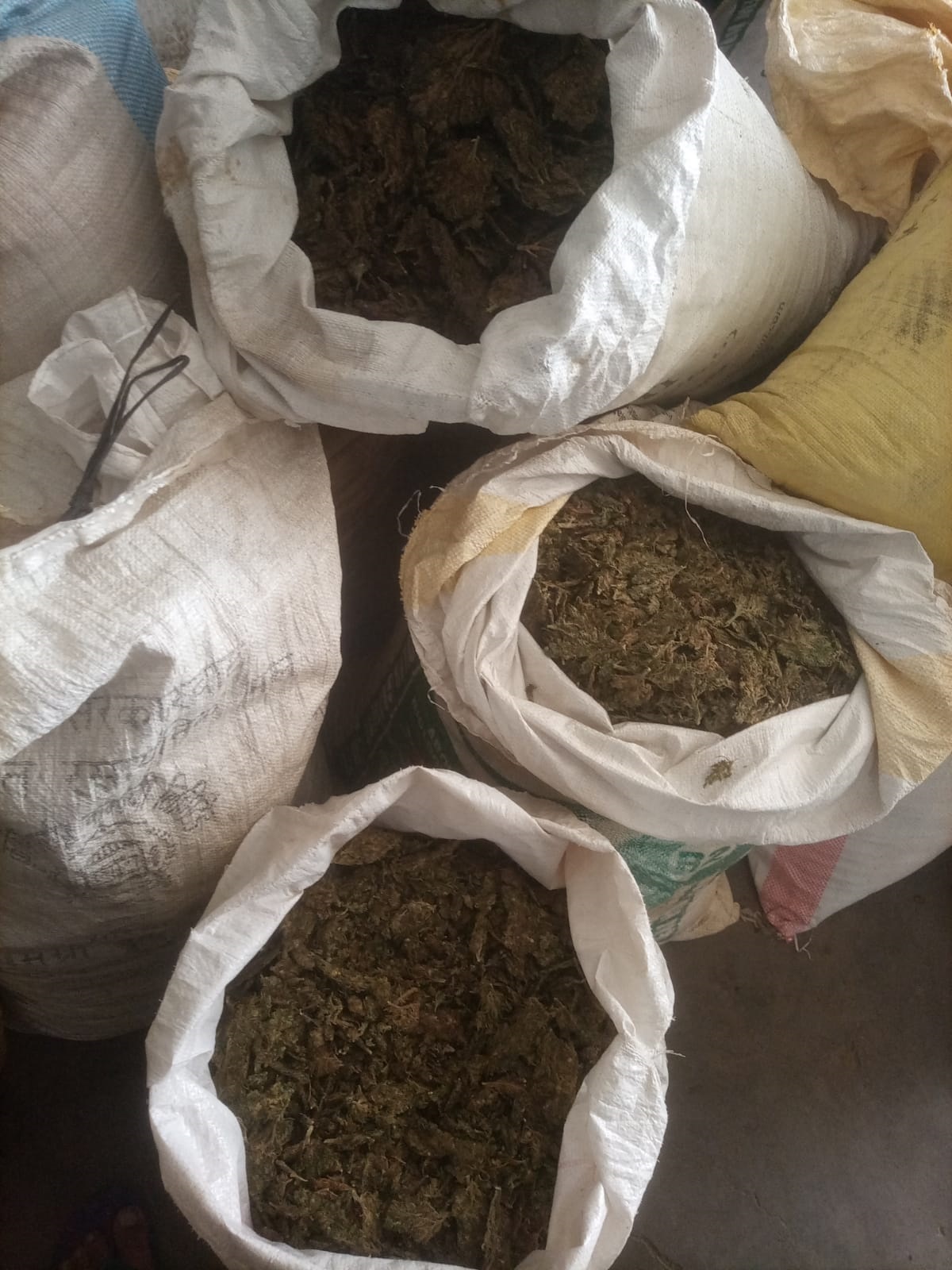 प्रतिबन्धित लागु औषधसहित एक जना प्रहरीको नियन्त्रणमा