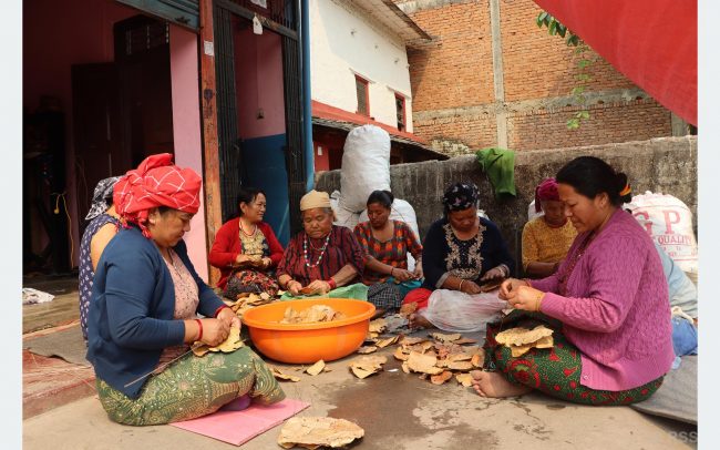 दुना टपरी उद्योगले बागलुङका महिलाको दैनिकी फेरियो, आत्मनिर्भर बन्दै