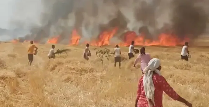 किसानको पीडा: आगोले गहुँबाली खायो, अब हामीले के खाने!