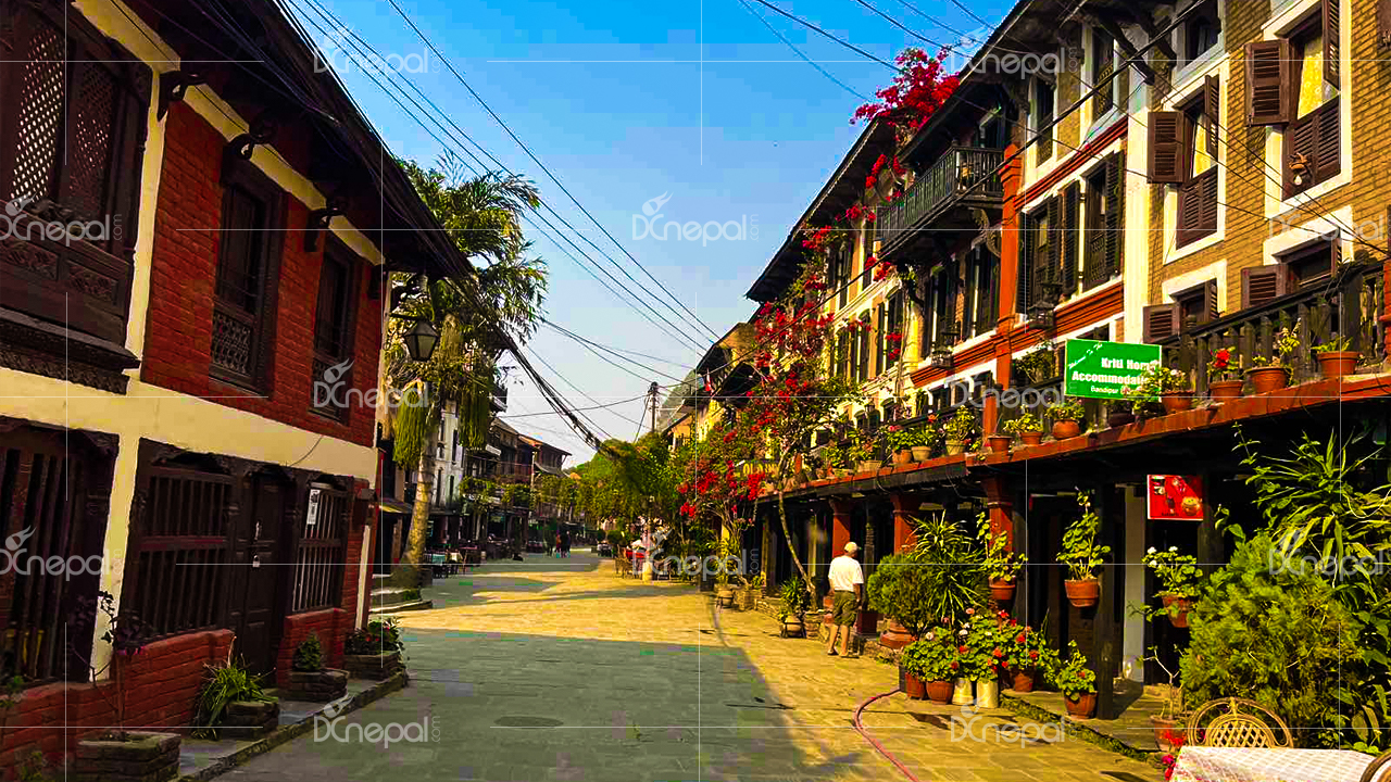 दसैँमा सुनसान बन्दीपुर, आन्दोलनपछि घटे पर्यटक