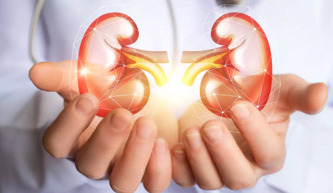 मिर्गौलाको शक्ति बढाउन चाहनुहुन्छ ? हरेक दिन यो चटनी खानुहोस्!