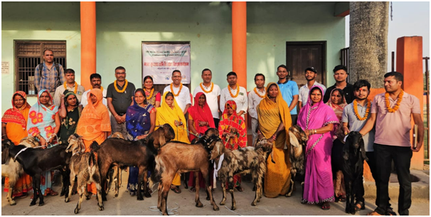 बाख्रापालक किसानलाई नश्ल सुधारका लागि बीउ बोका प्रदान